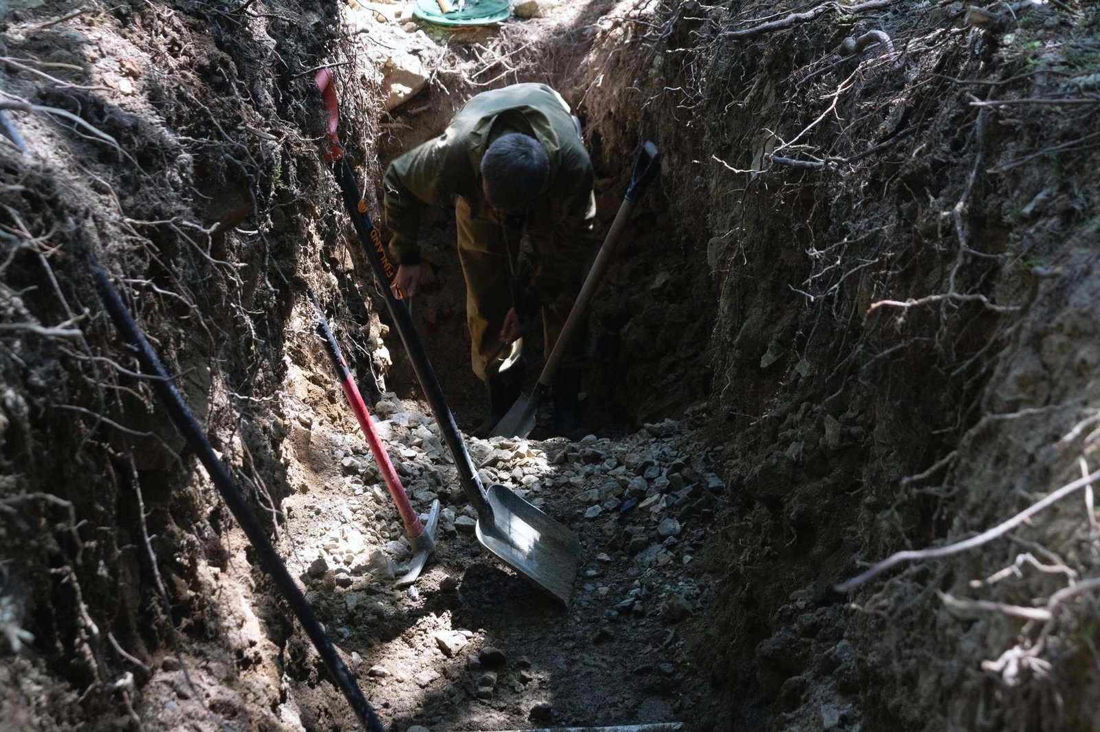 Looking down into a narrow hand-dug trench through roots and dark soil